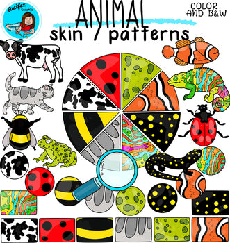 ANIMAL SKIN/ PATTERN COVERS MATCHING CARDS+ THEIR NAMES