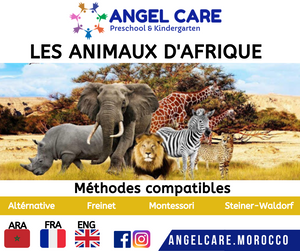 Les animaux d'afrique