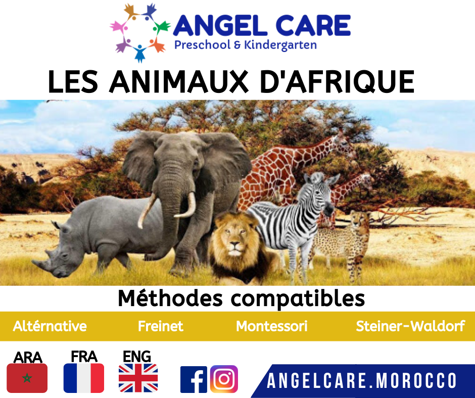 Les animaux d'afrique