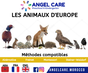 Les animaux d'europe