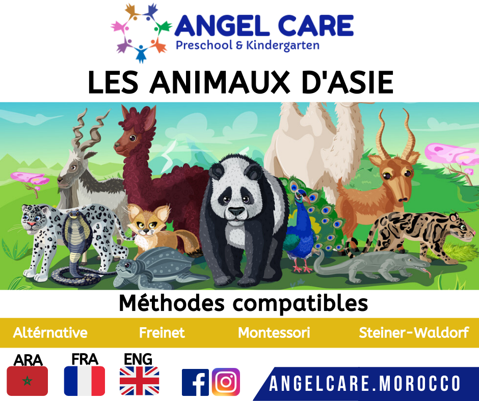 Les animaux d'asie