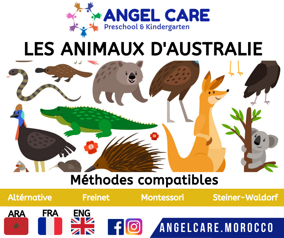 Les animaux d'océanie