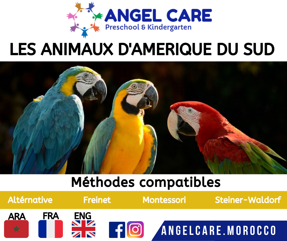 Les animaux d'amérique du sud