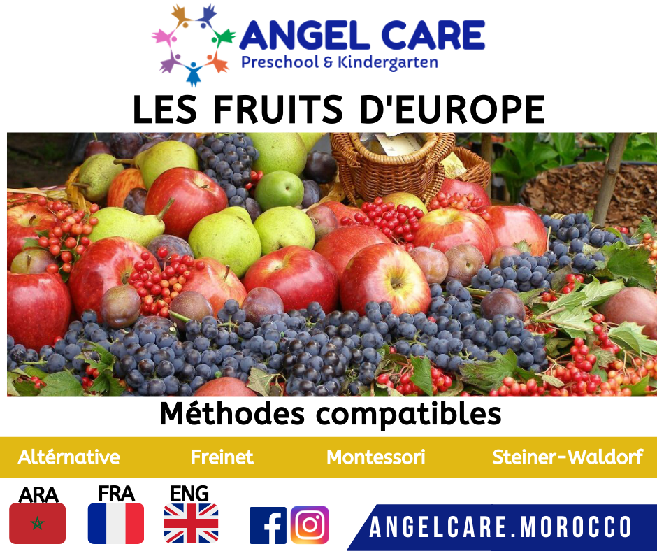 Fruits d'europe