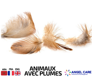 ANIMAUX AVEC PLUME