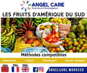 Fruits d'amérique du sud