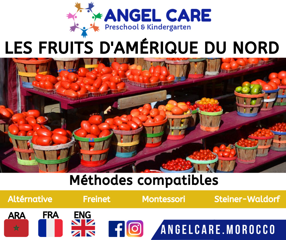 Fruits d'amérique du nord