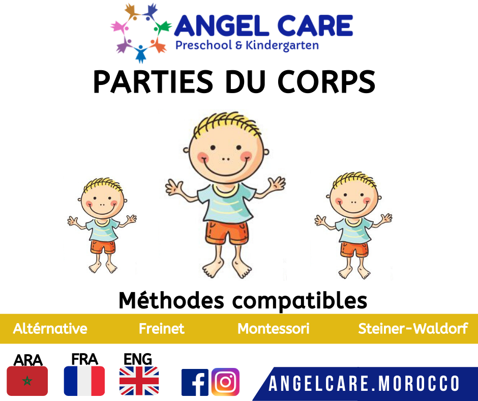 PARTIES DU CORPS