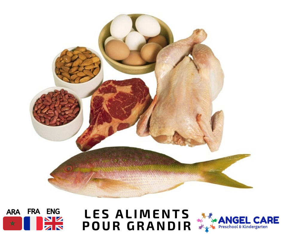 Les aliments pour grandir