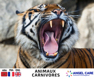 Les animaux carnivores