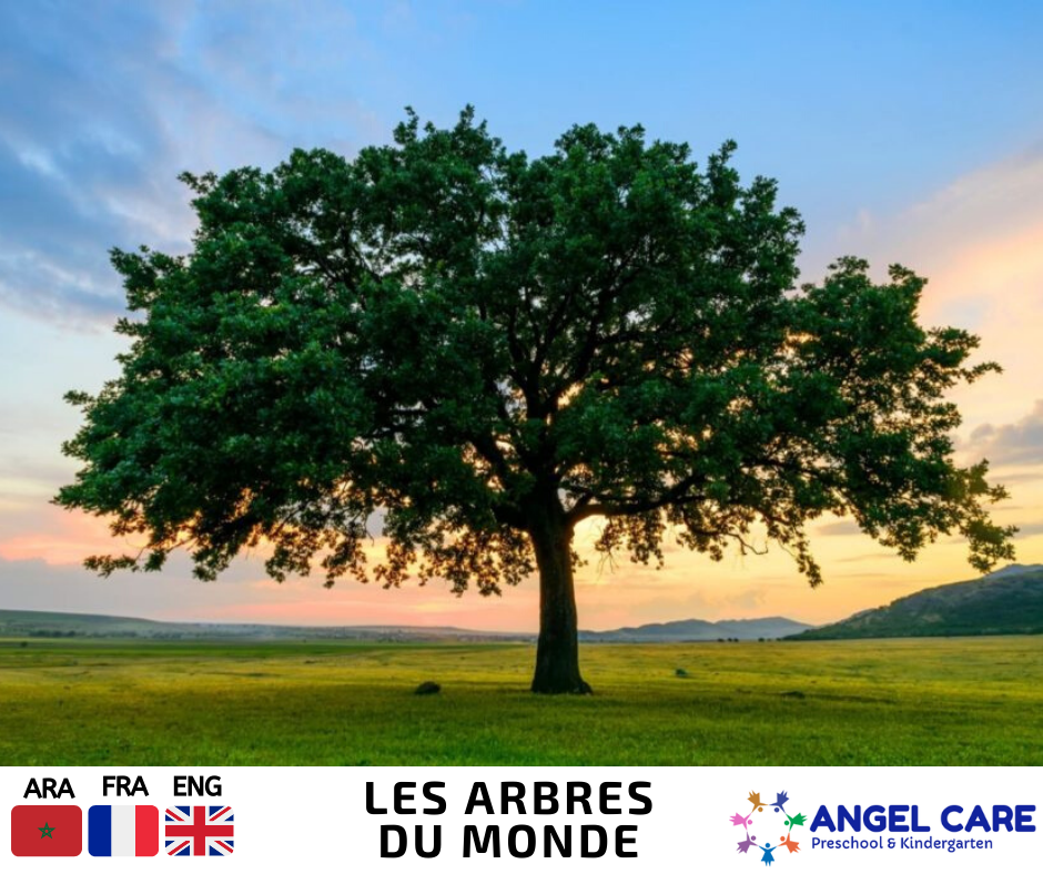 Les arbres du monde