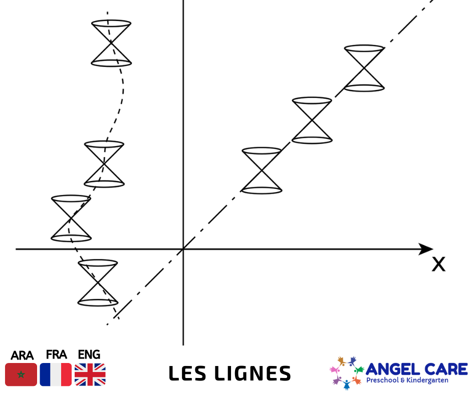 Les différents formes de lignes