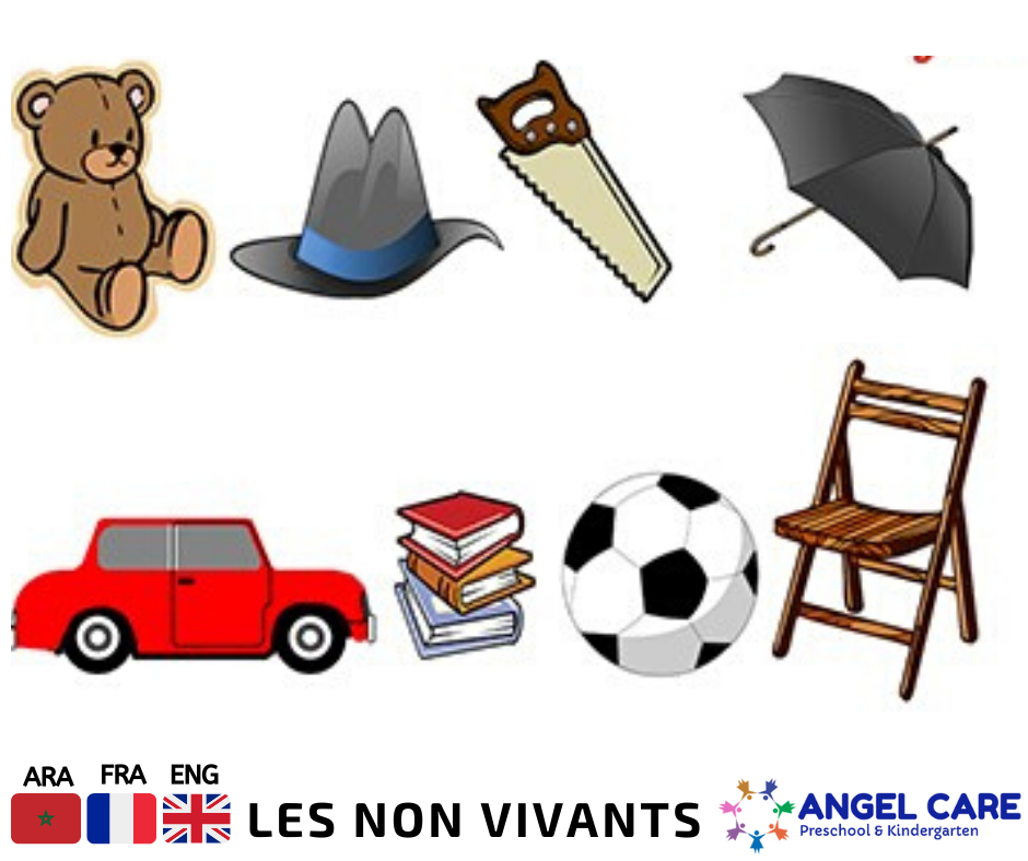 LES NON VIVANTS/NON- LIVING THINGS