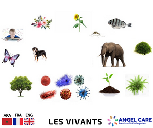 LES VIVANTS /LIVING THINGS