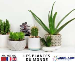 Plantes du mondes